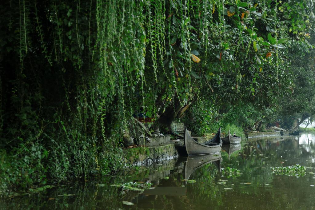 Palmgrove Lake Resort Alappuzha Esterno foto