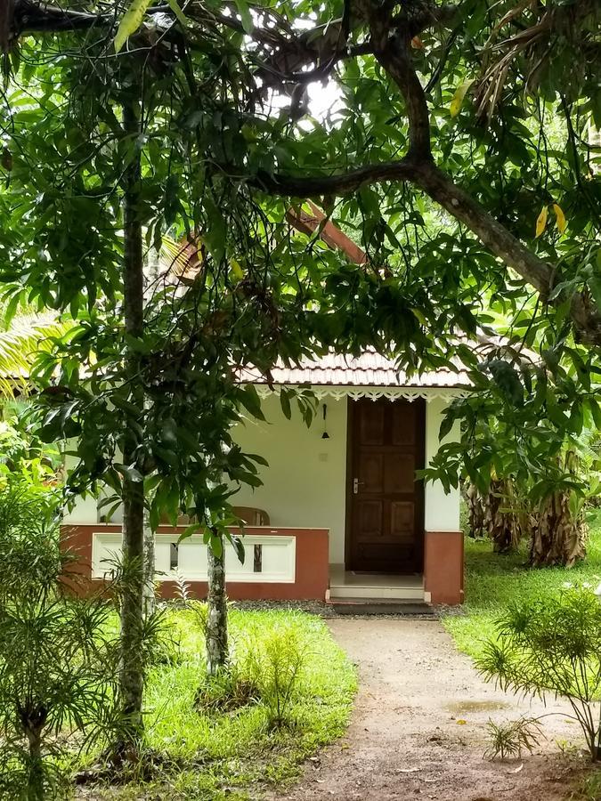 Palmgrove Lake Resort Alappuzha Esterno foto